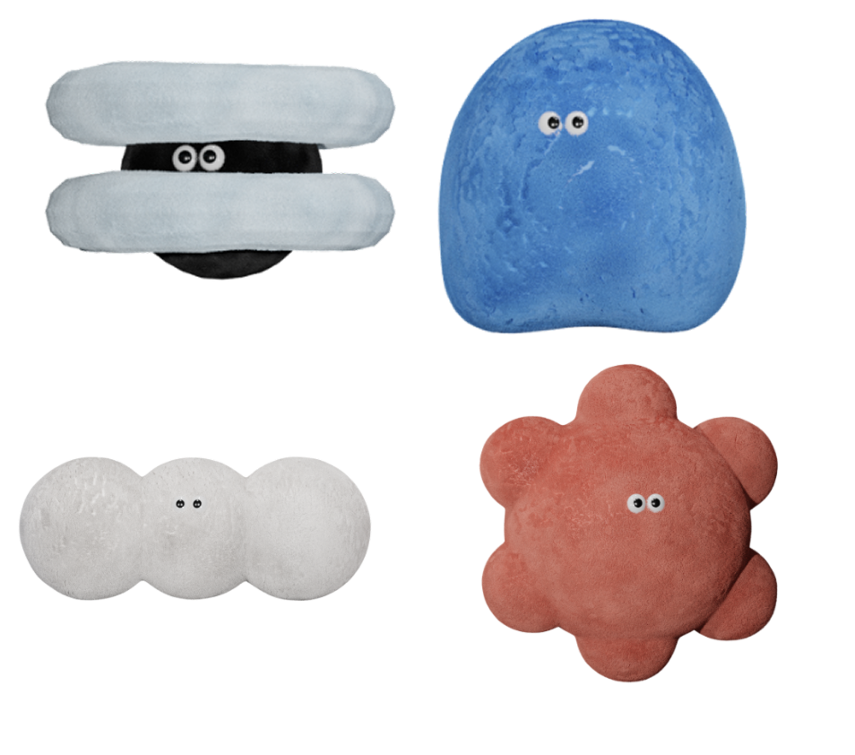 Character Design Project